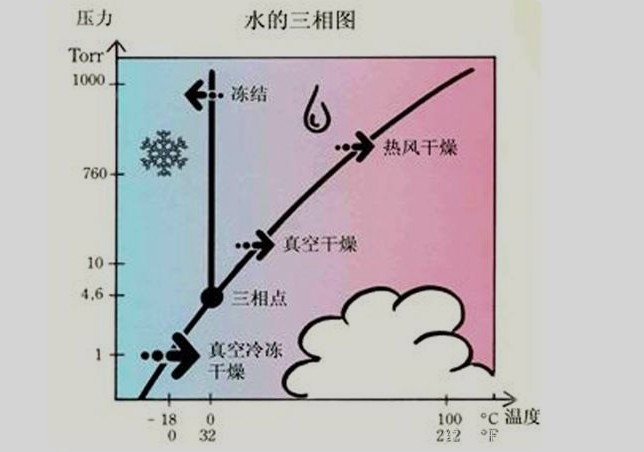 冷凍干燥機(jī)要多久才可以凍干一批物料？